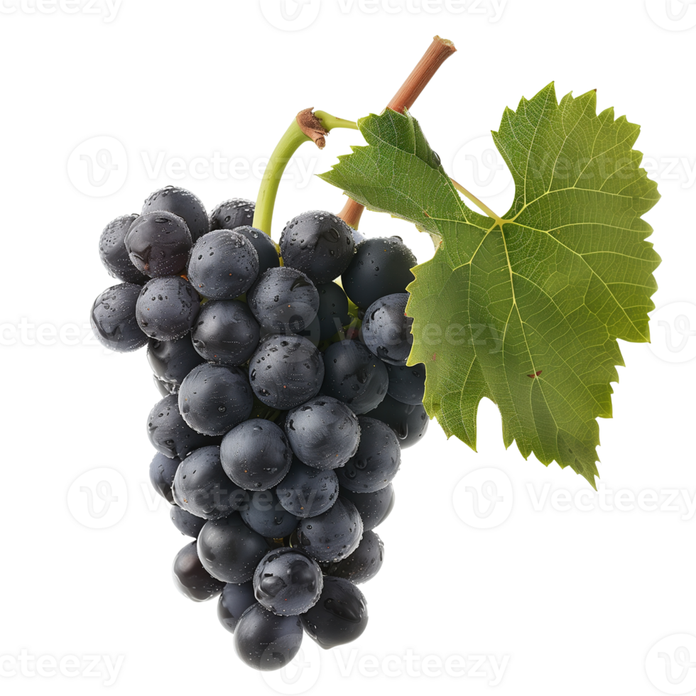 A cluster of grapes, isolated on a transparent background png