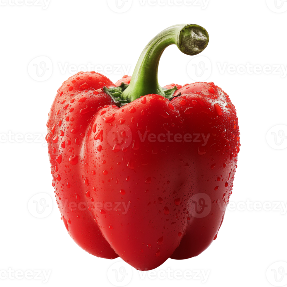 A fresh red pepper with water droplets isolated on a transparent background png