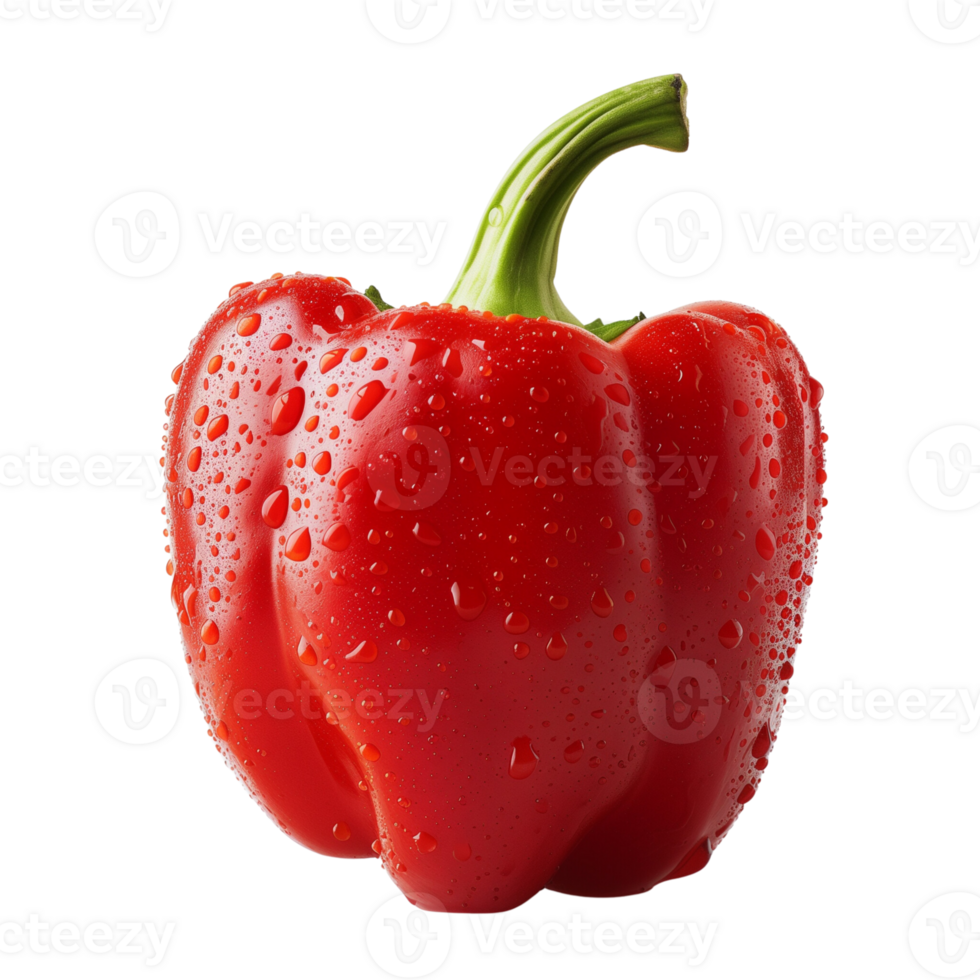 A fresh red pepper with water droplets isolated on a transparent background png