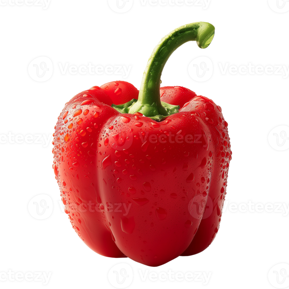 A fresh red pepper with water droplets isolated on a transparent background png