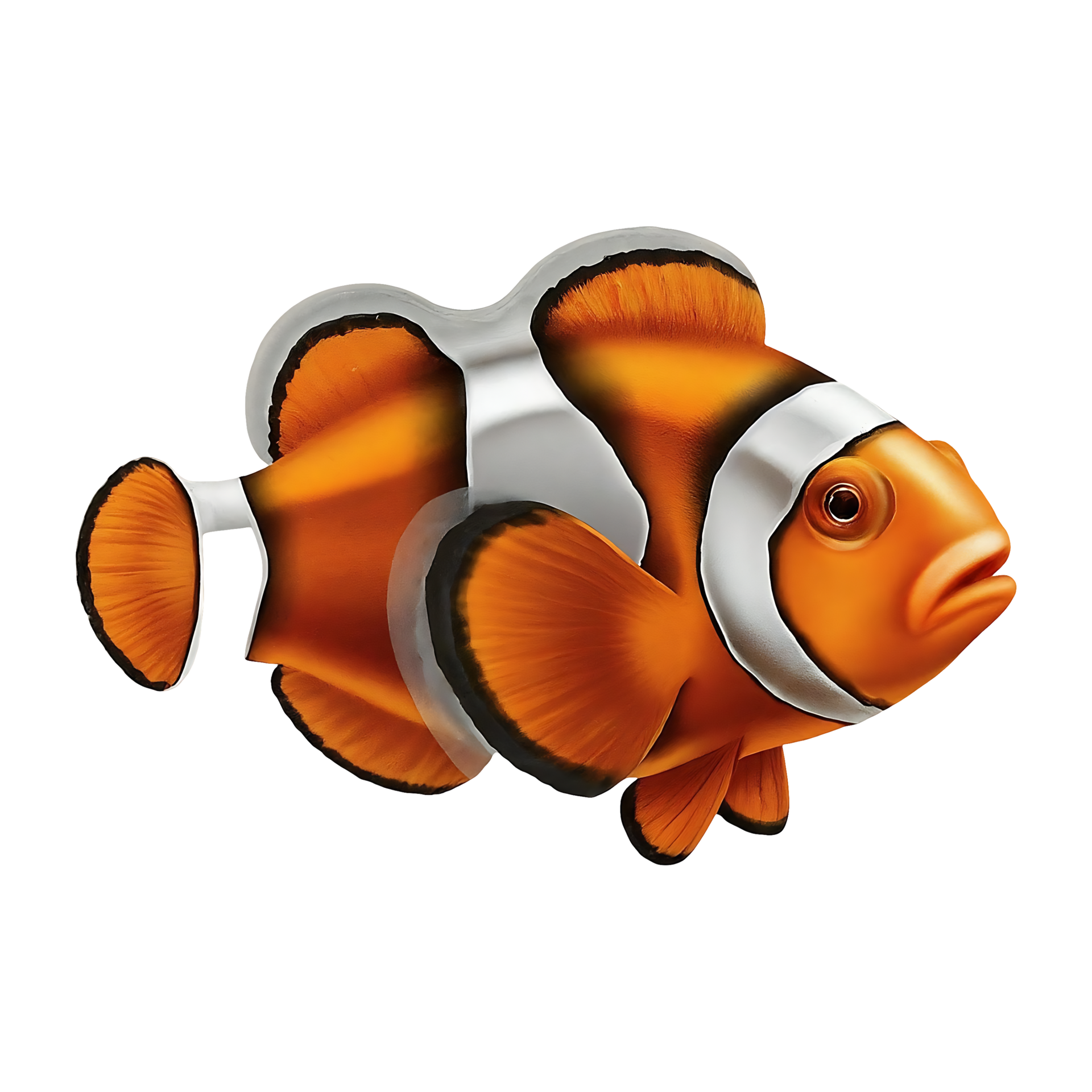 clown trigger fish on transparent background 46823250 PNG
