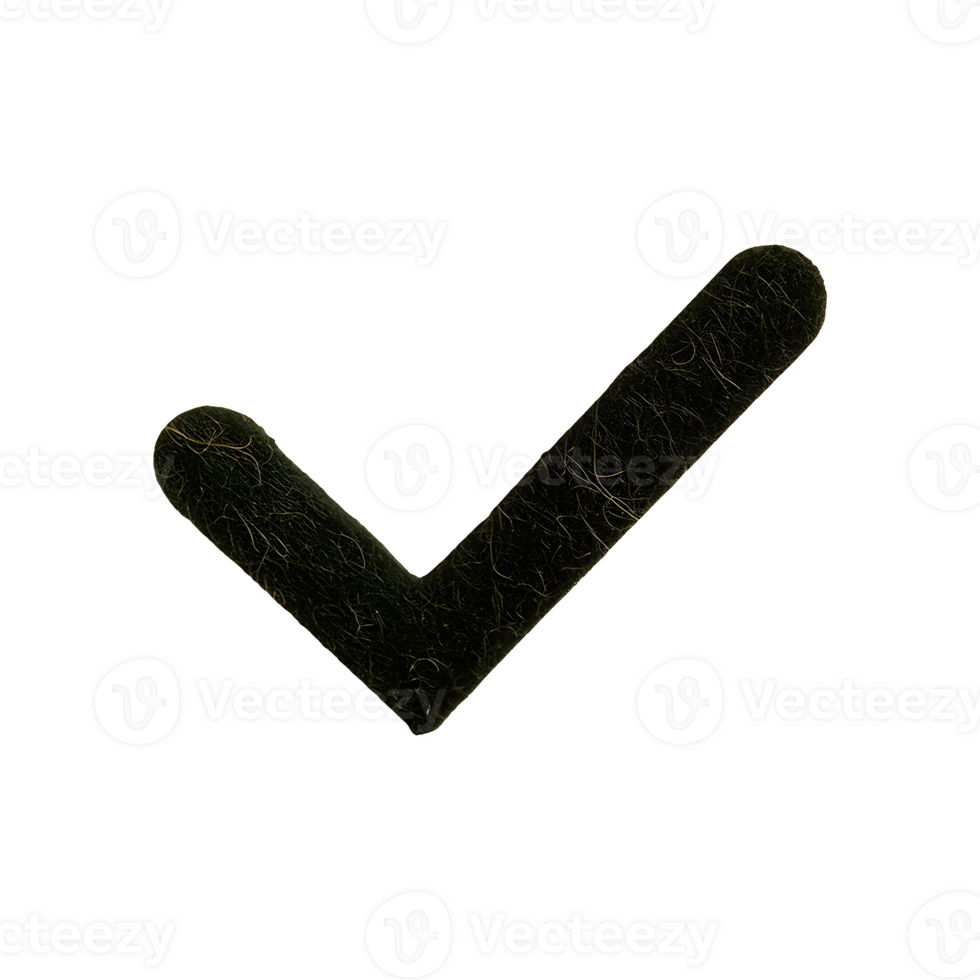 Check Mark Yes Icon Symbol isolated on transparent background png