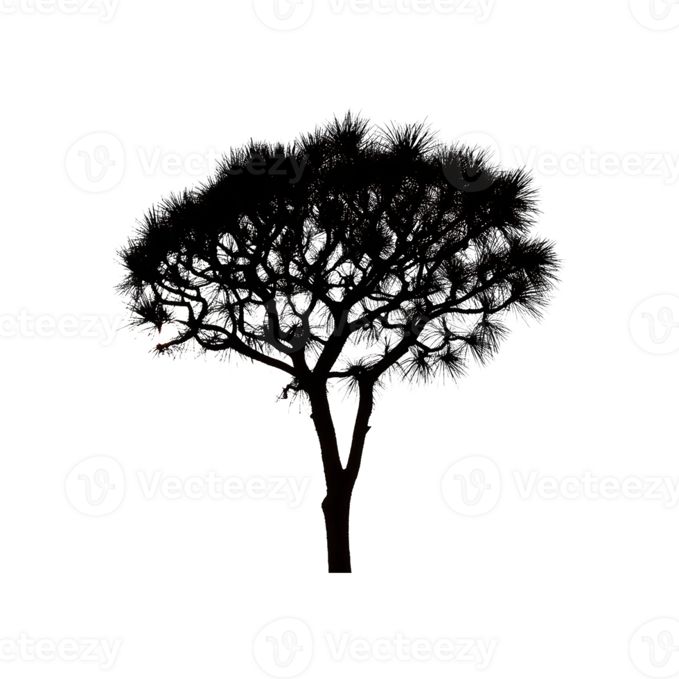 Desert Tree Silhouette Symbol isolated on transparent background png