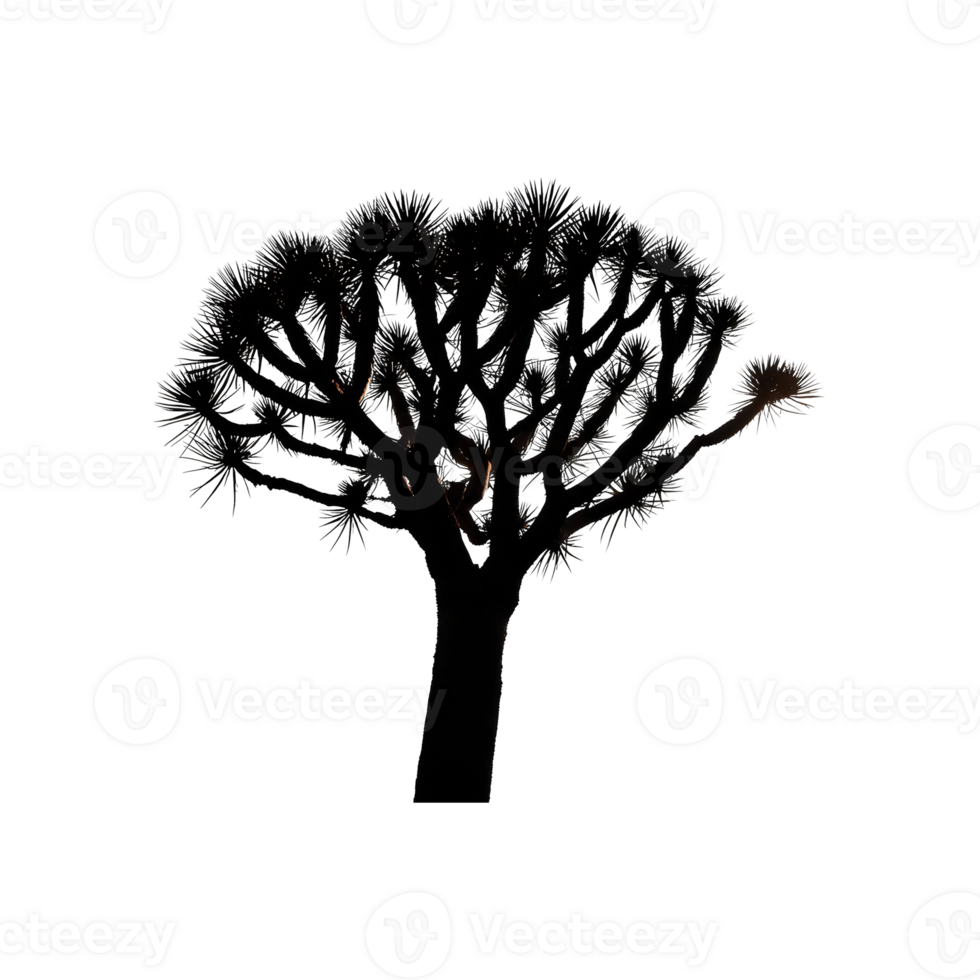 Desert Tree Silhouette Symbol isolated on transparent background png