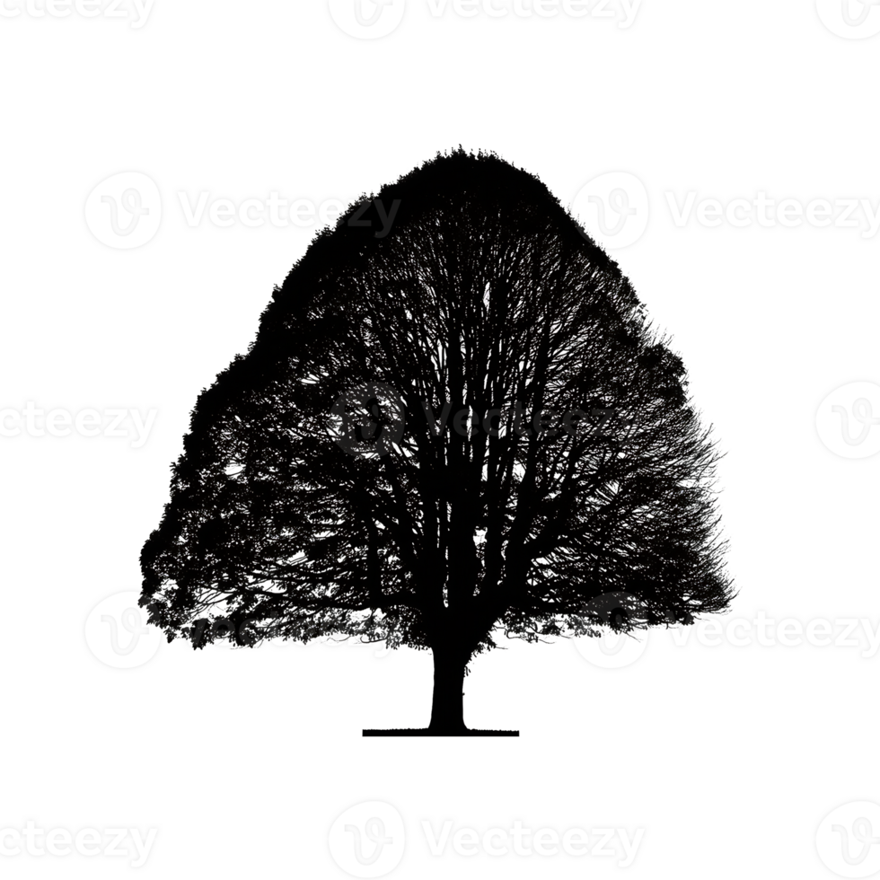 Fur Tree Silhouette Symbol isolated on transparent background png