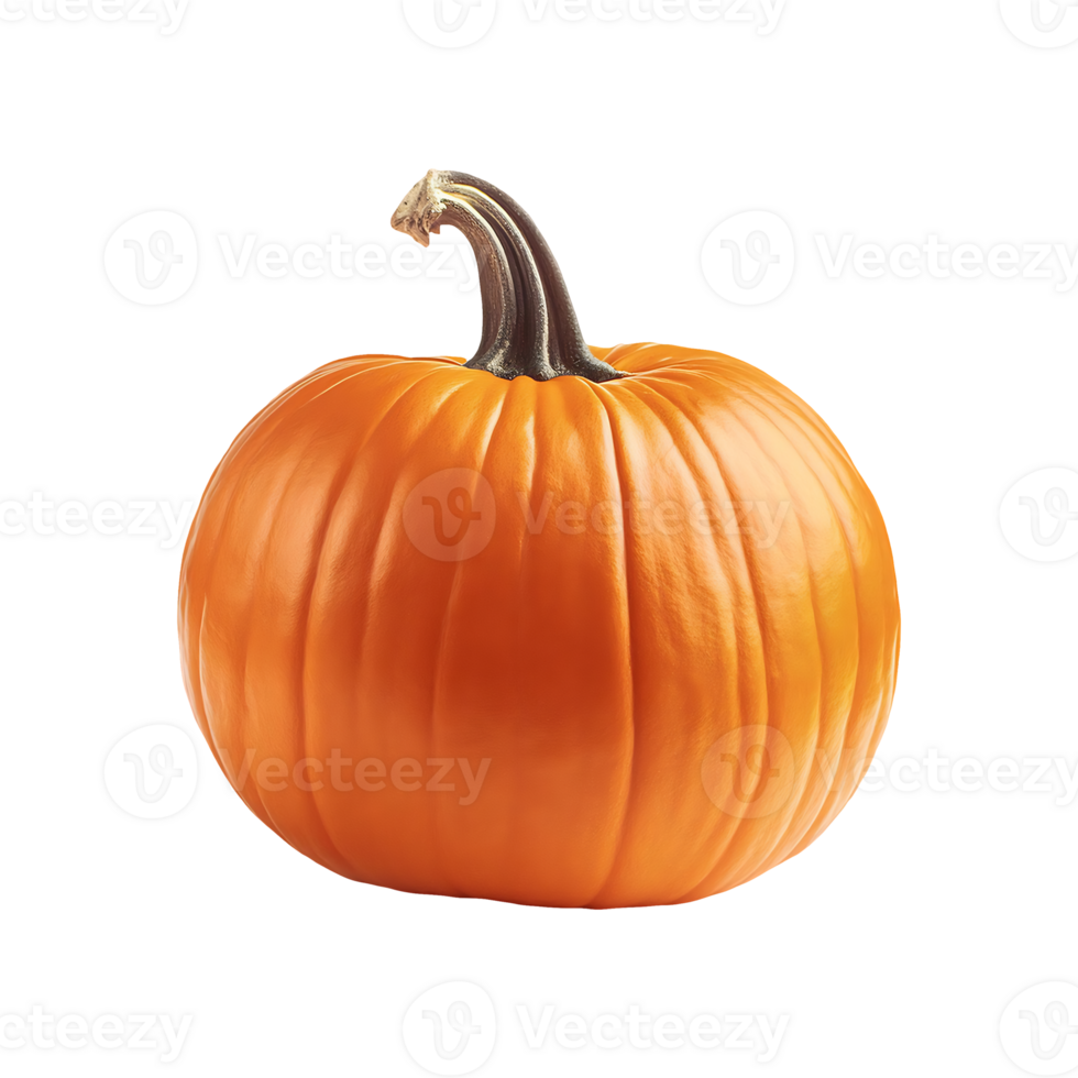 Halloween Pumpkin Icon Symbol isolated on transparent background png