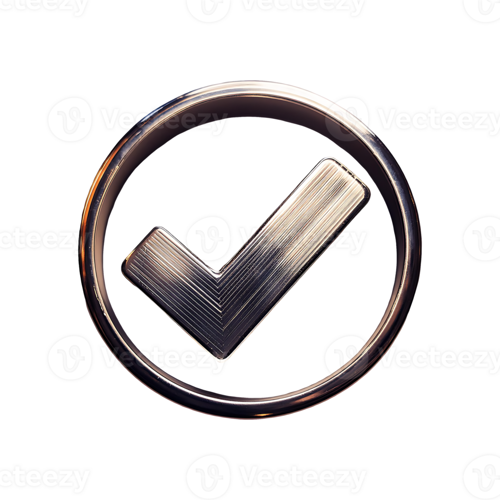 Silver Check Mark in Circle Symbol isolated on transparent background png