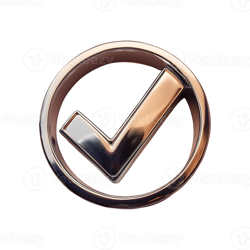 Silver Check Mark in Circle Symbol isolated on transparent background png