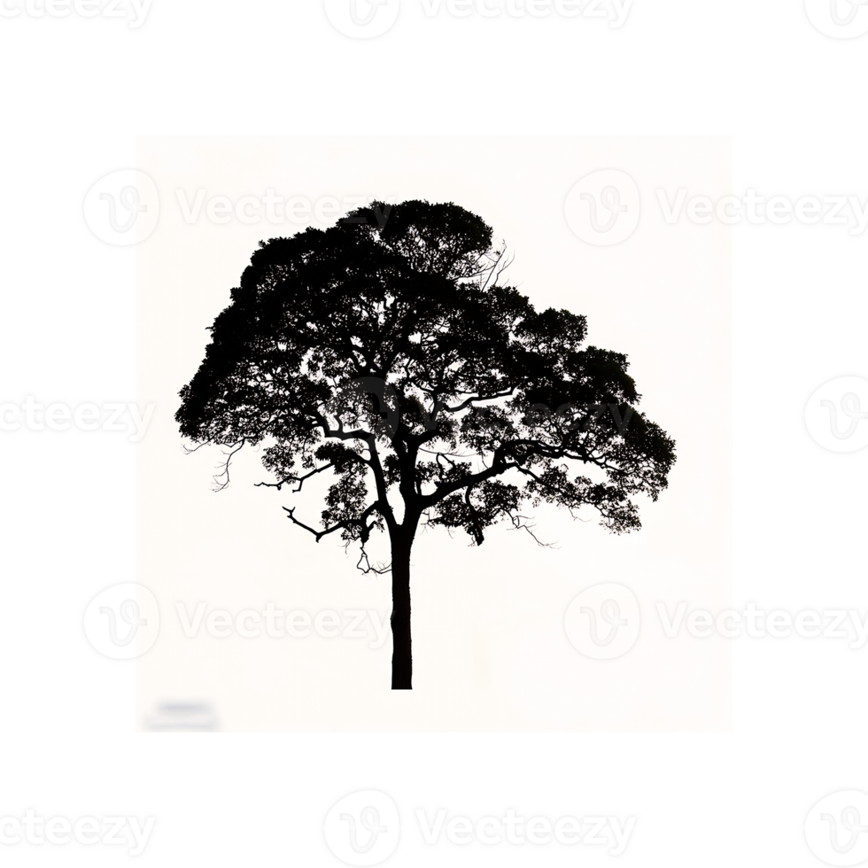 Small Tree Silhouette Symbol isolated on transparent background png