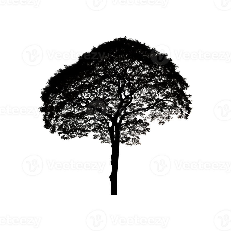 Tree Silhouette Symbol isolated on transparent background png