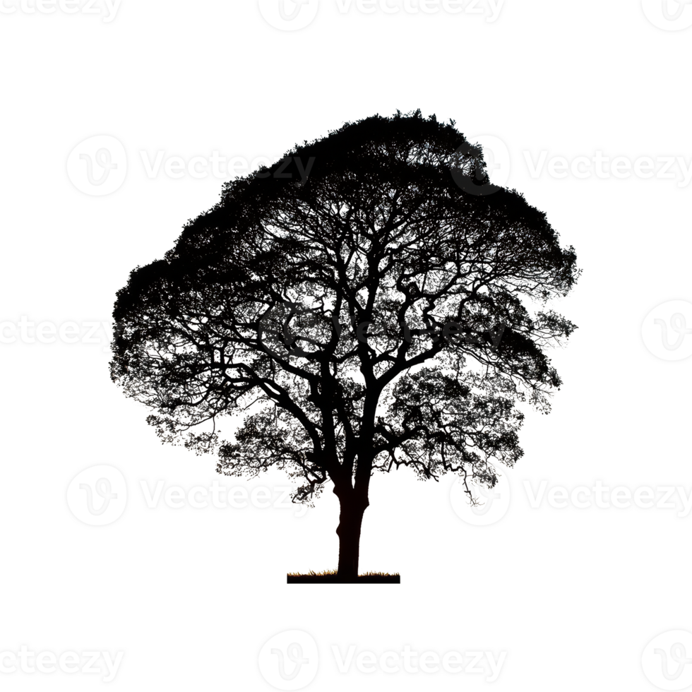 Tree Silhouette Symbol isolated on transparent background png