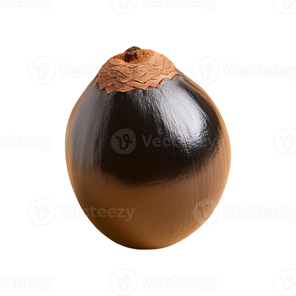 Black Sapote isolated on transparent background png