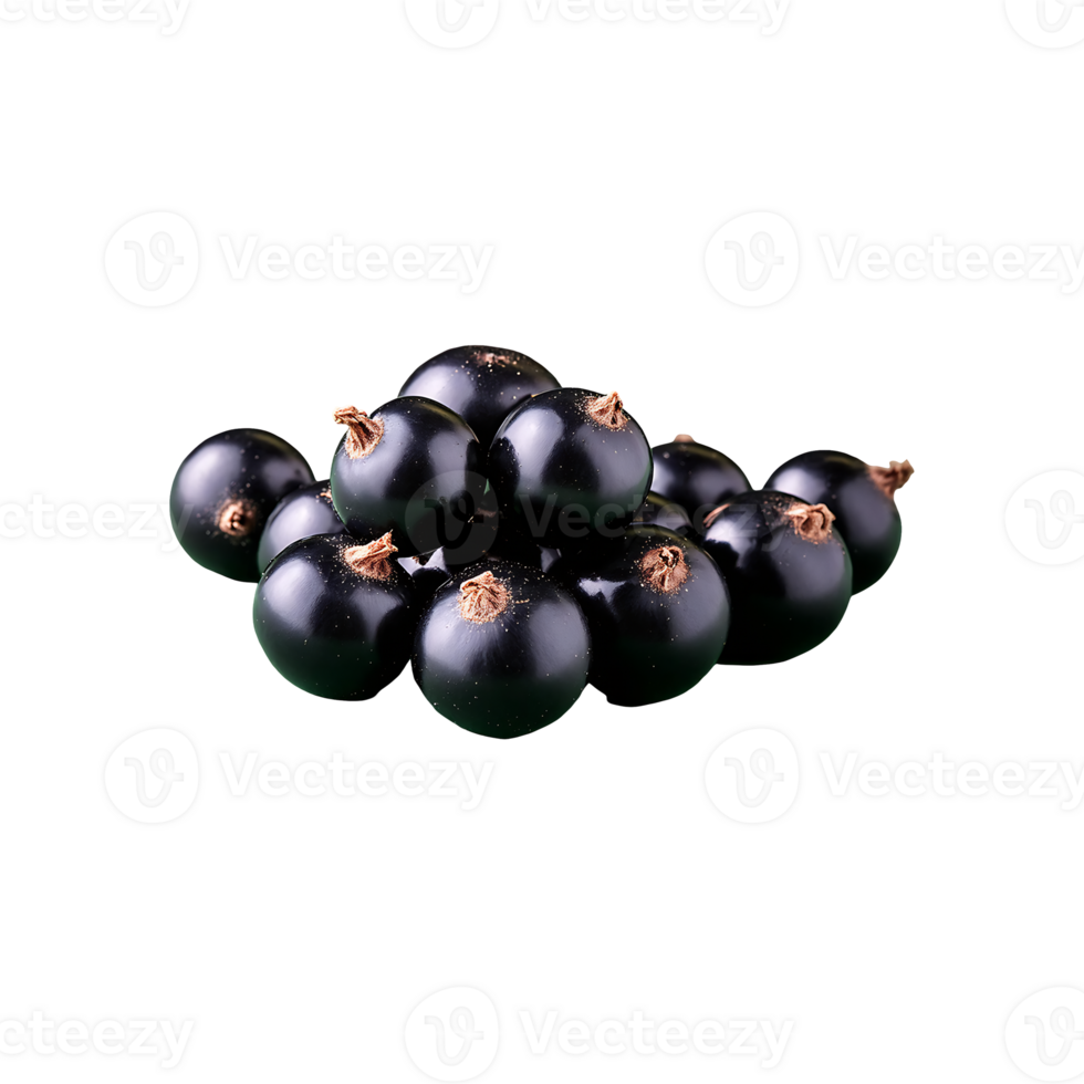 Blackcurrant isolated on transparent background png