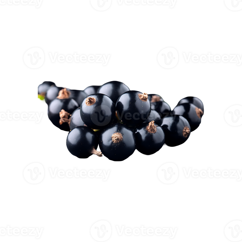 Blackcurrant isolated on transparent background png