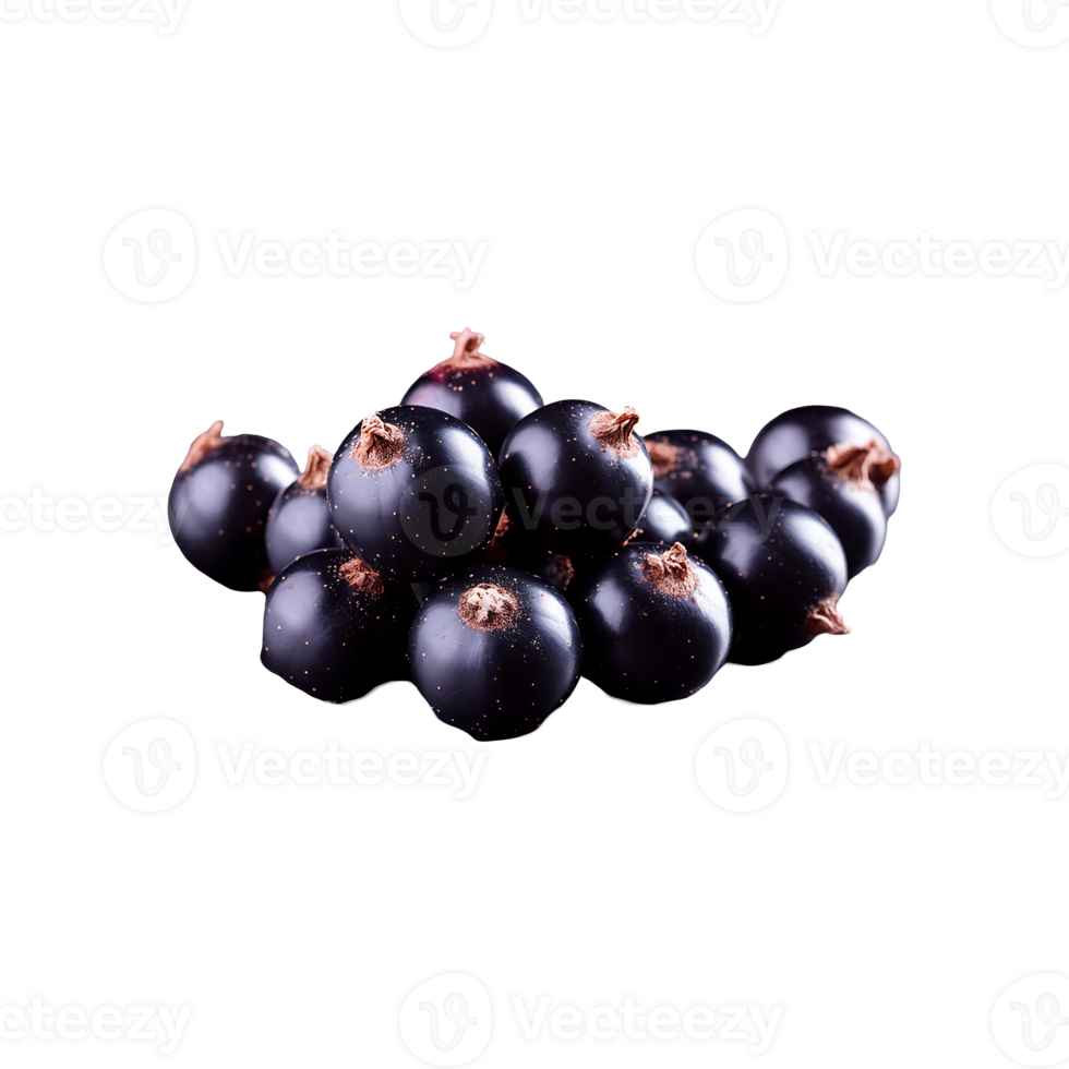 Blackcurrant isolated on transparent background png