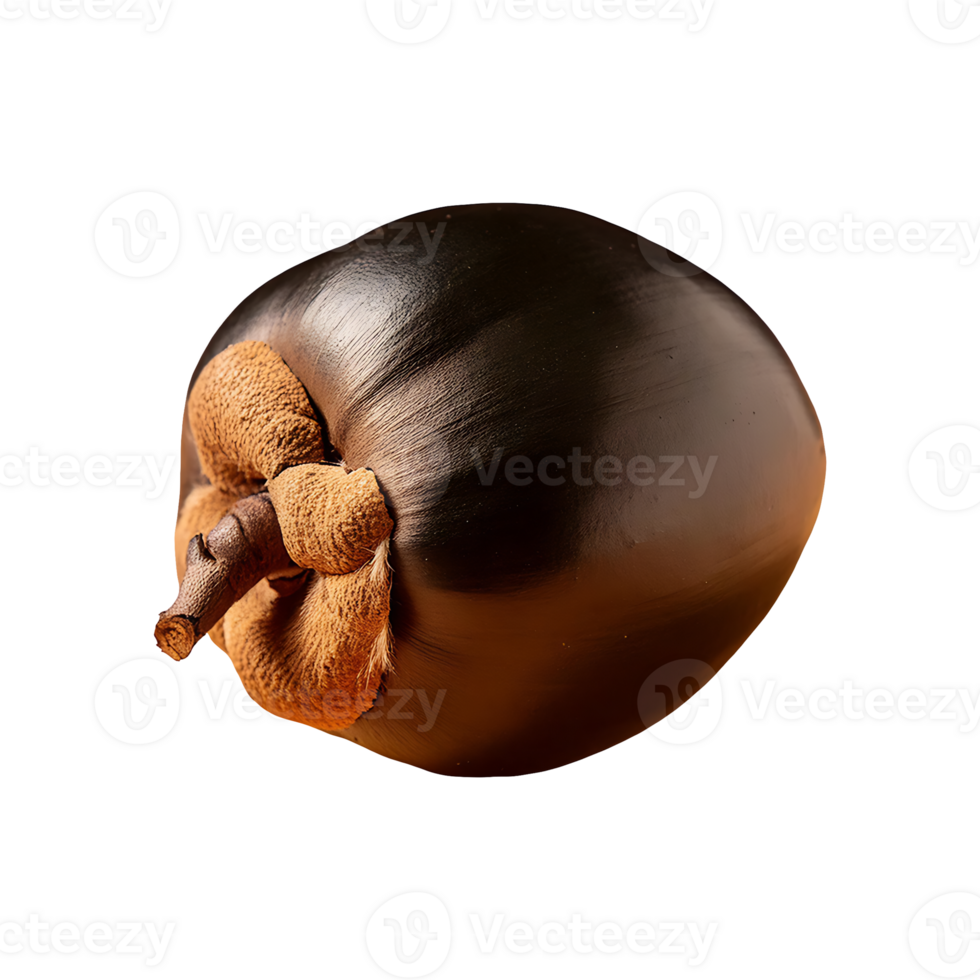 Black Sapote isolated on transparent background png
