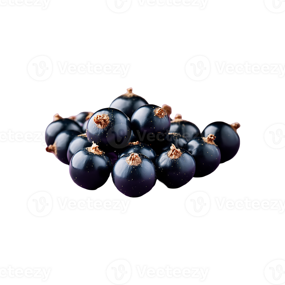 Blackcurrant isolated on transparent background png