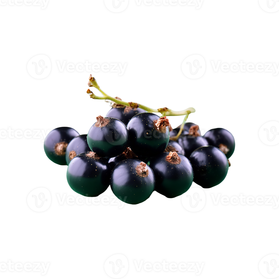 Blackcurrant isolated on transparent background png