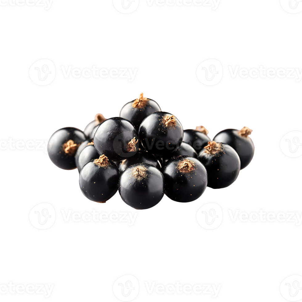 Blackcurrant isolated on transparent background png
