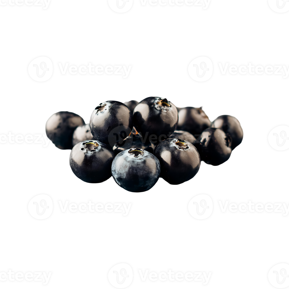 Boysenberry isolated on transparent background png
