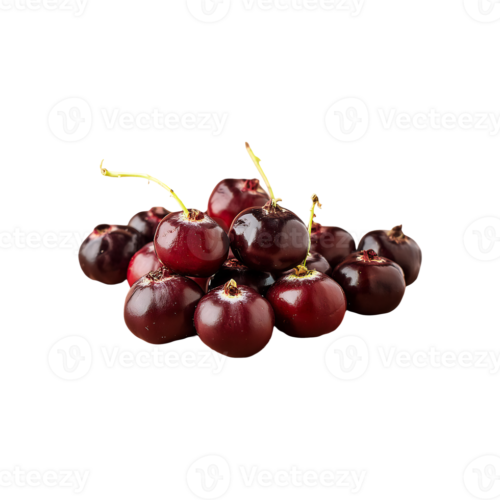 Boysenberry isolated on transparent background png