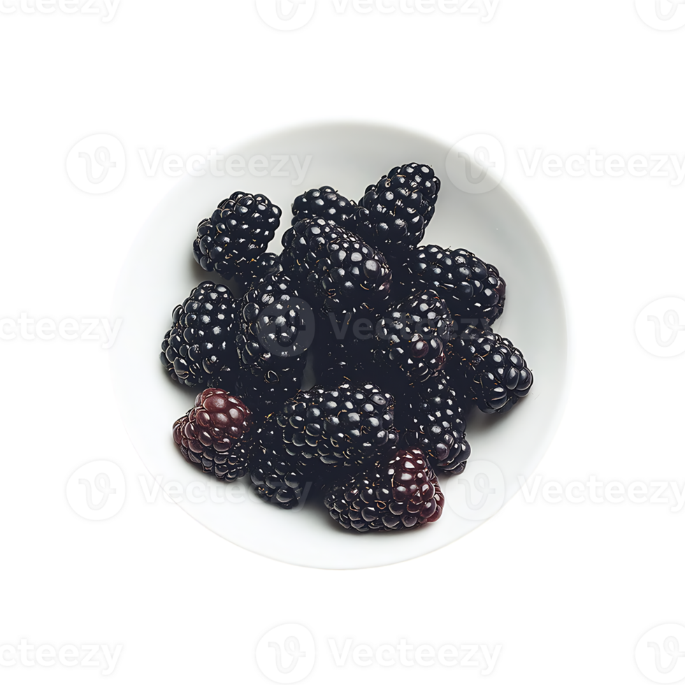 Boysenberry isolated on transparent background png
