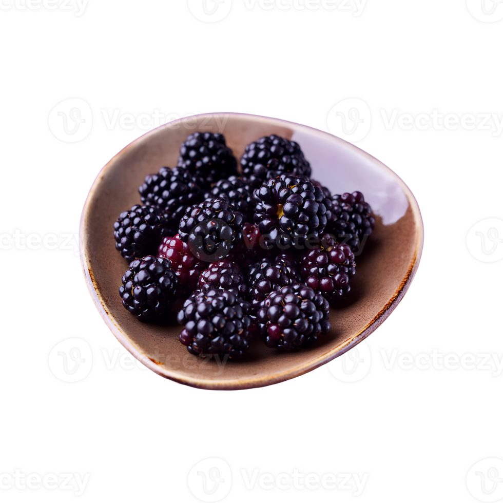 Boysenberry isolated on transparent background png