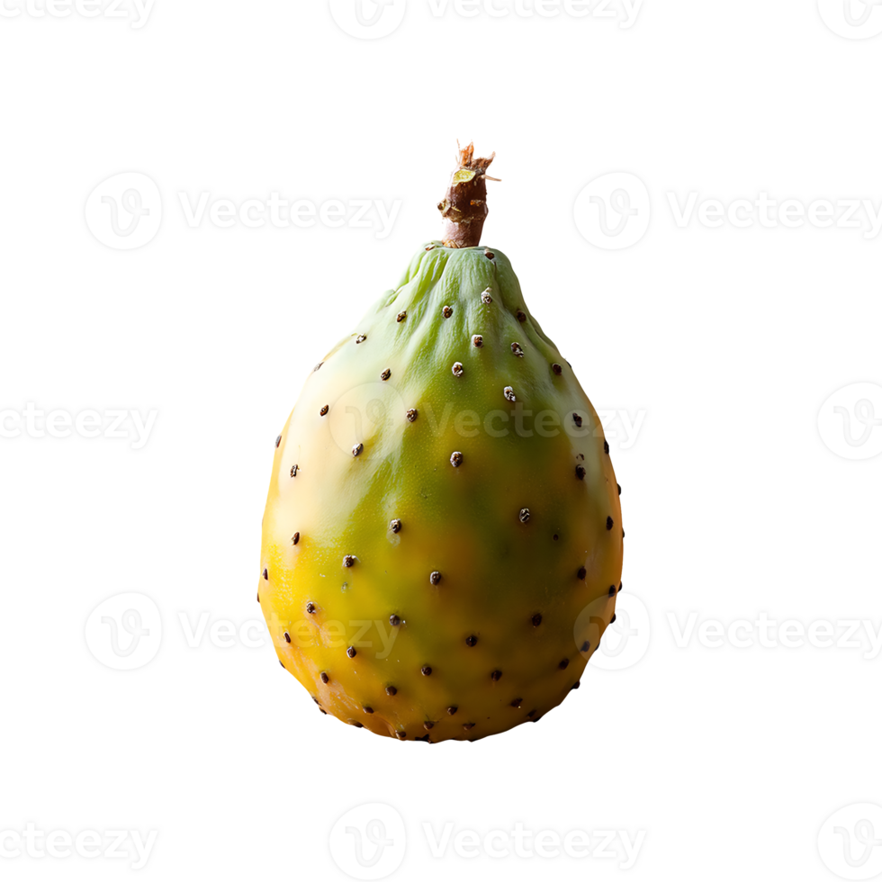 Cactus Pear isolated on transparent background png