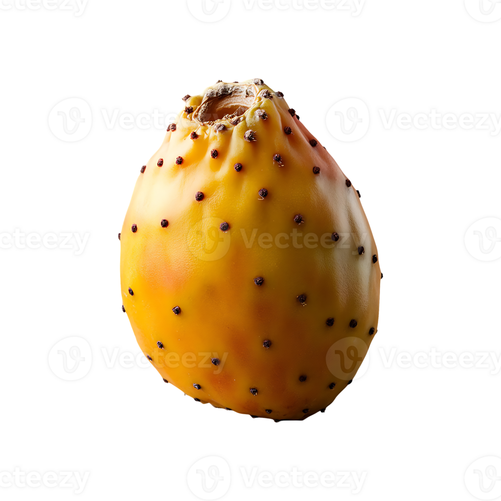 Cactus Pear isolated on transparent background png