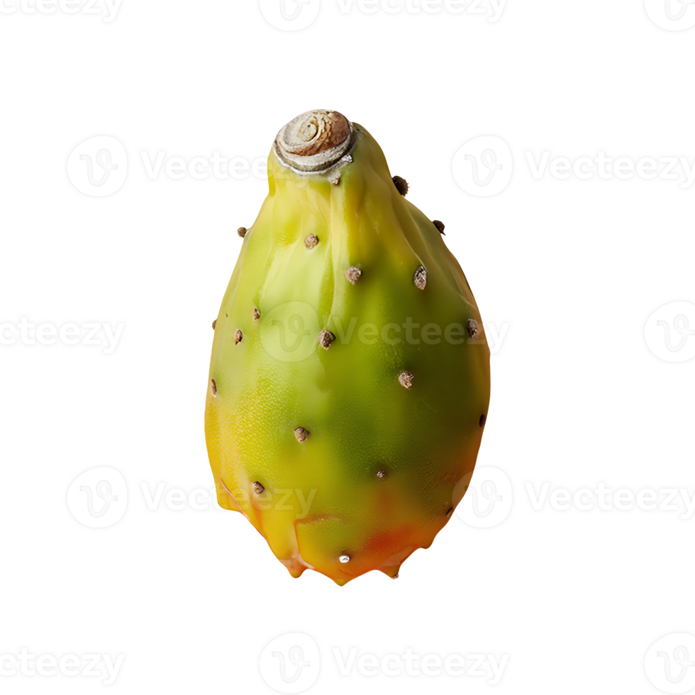 Cactus Pear isolated on transparent background png