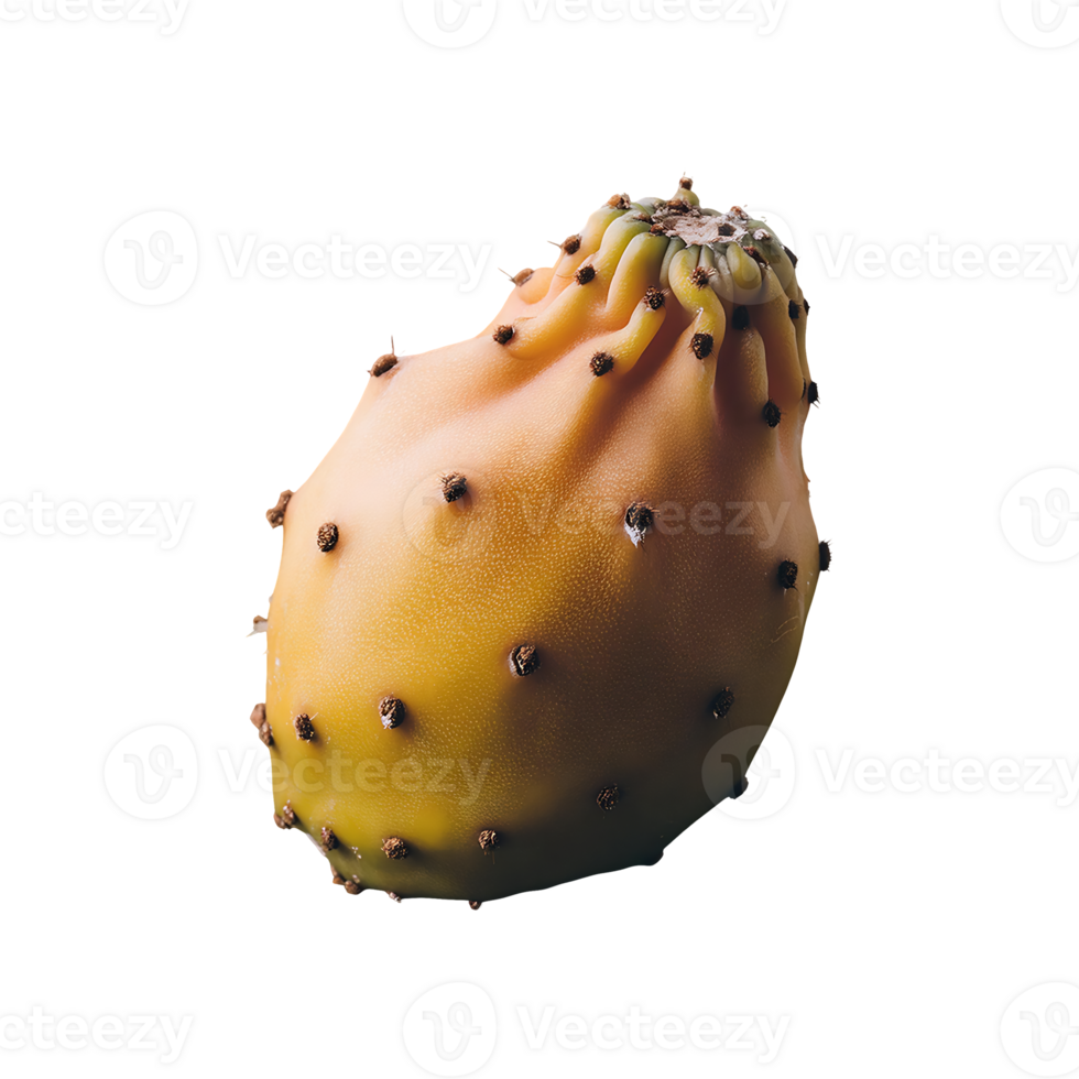 Cactus Pear isolated on transparent background png