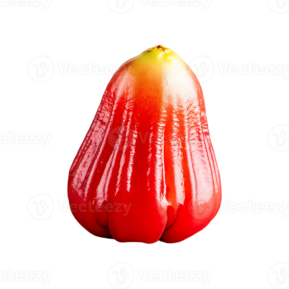 Camu Camu isolated on transparent background png