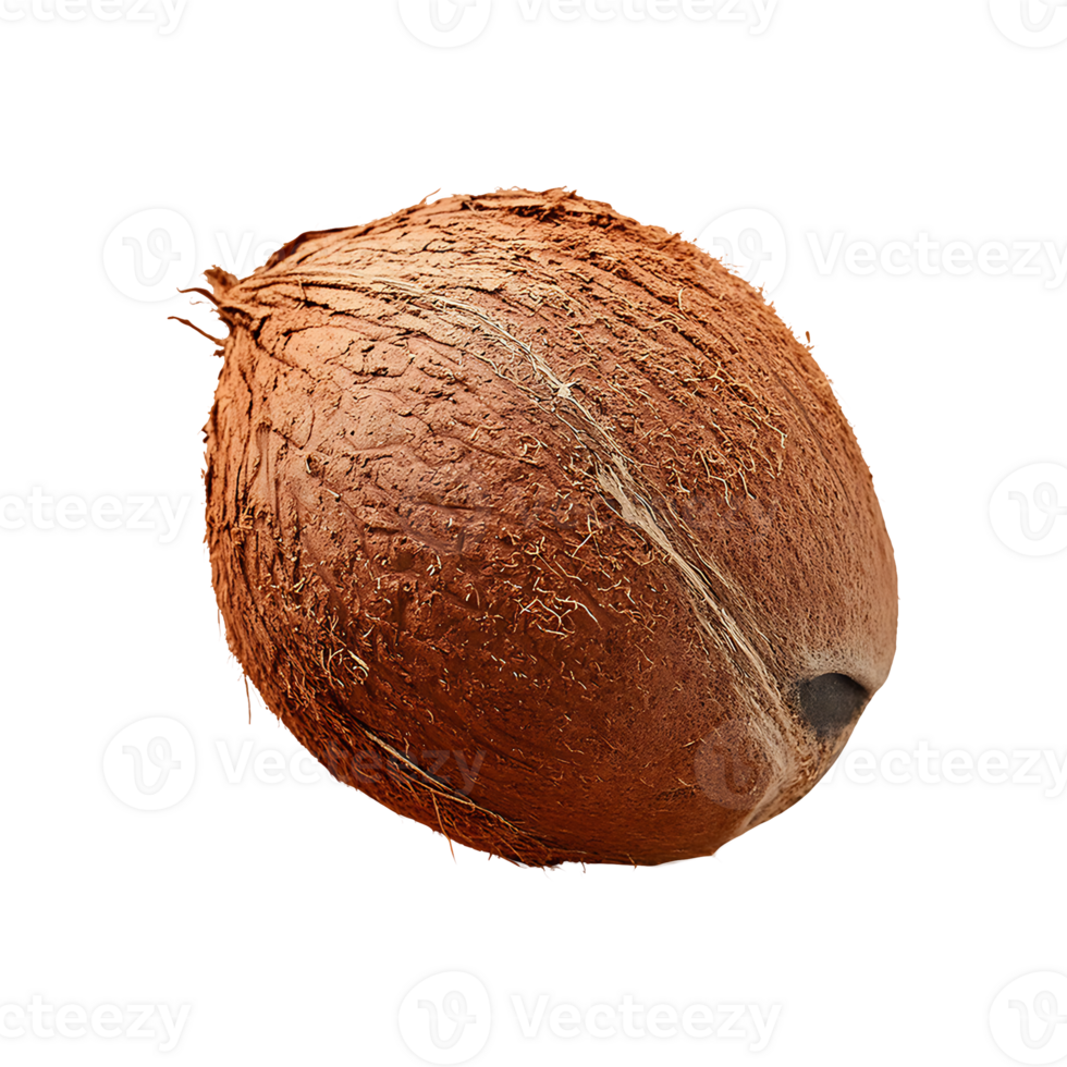 Coconut isolated on transparent background png