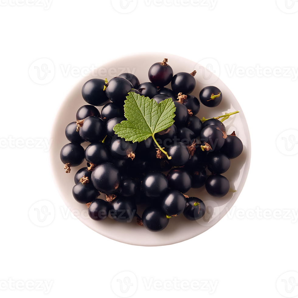 Currant isolated on transparent background png