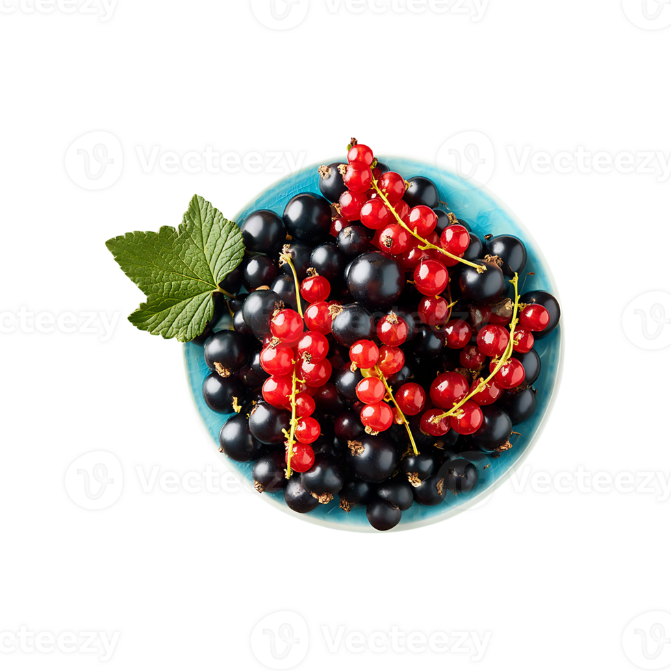 Currant isolated on transparent background png