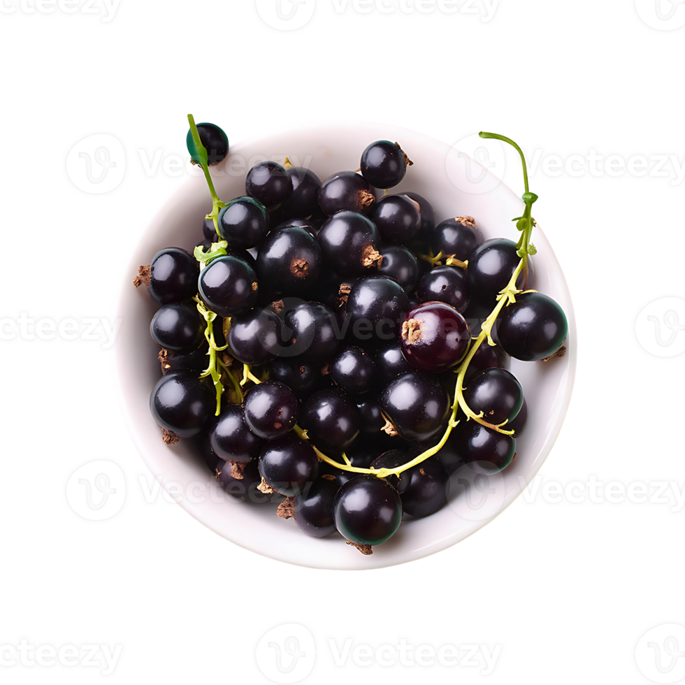 Currant isolated on transparent background png