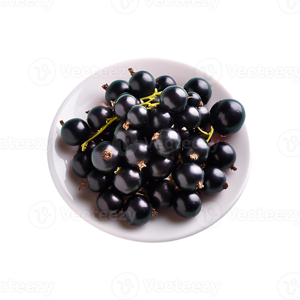 Currant isolated on transparent background png