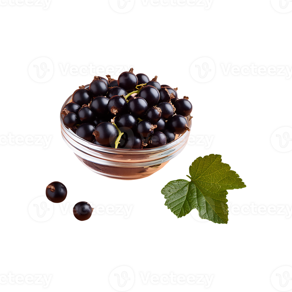 Currant isolated on transparent background png