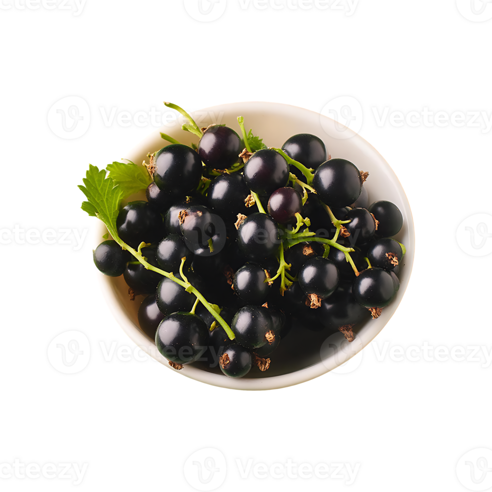 Currant isolated on transparent background png