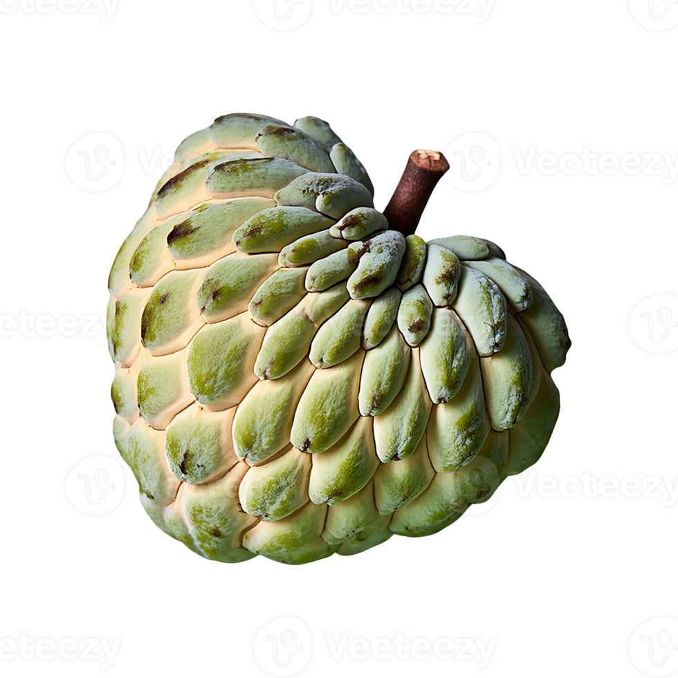 Custard Apple isolated on transparent background png