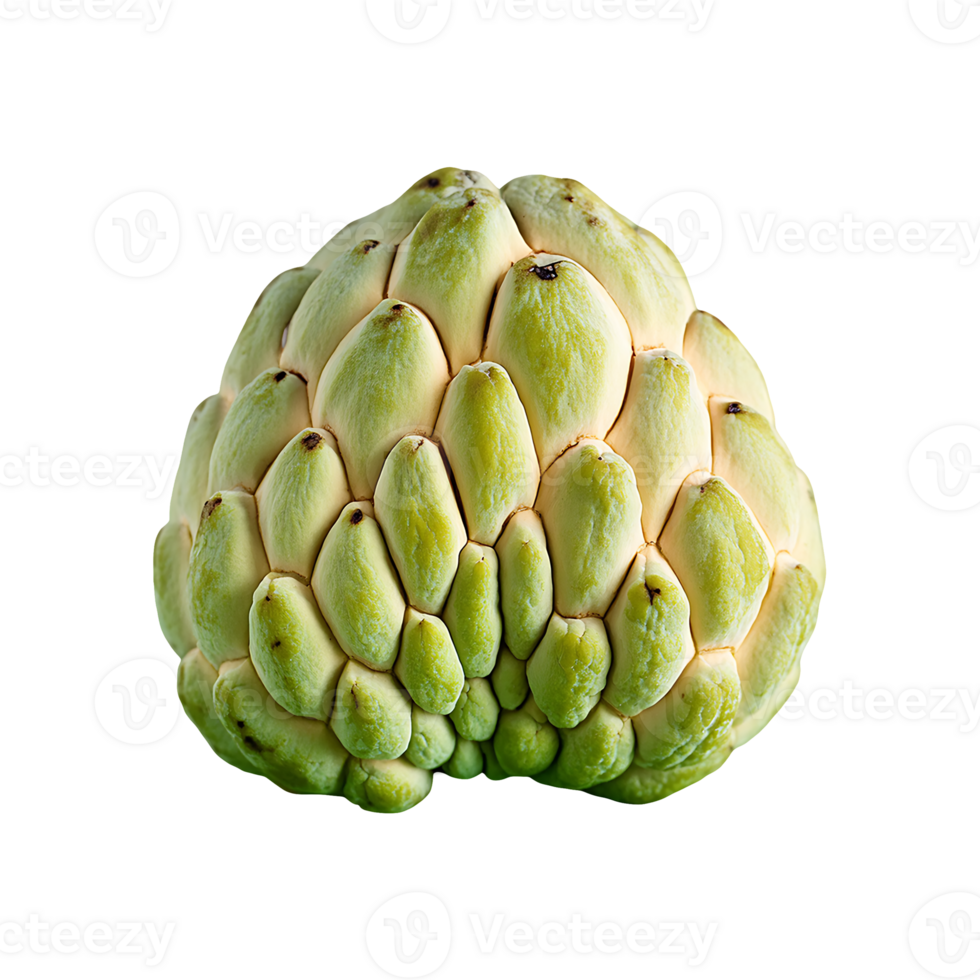 Custard Apple isolated on transparent background png