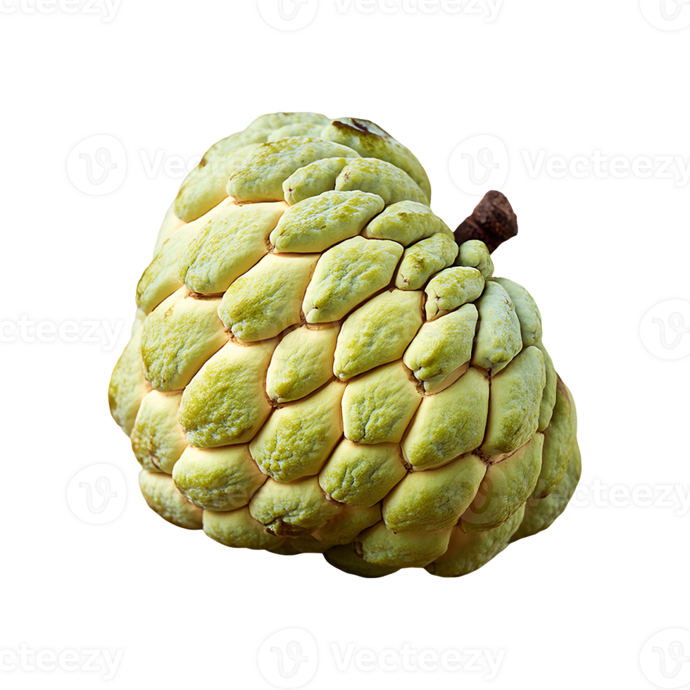 Custard Apple isolated on transparent background png