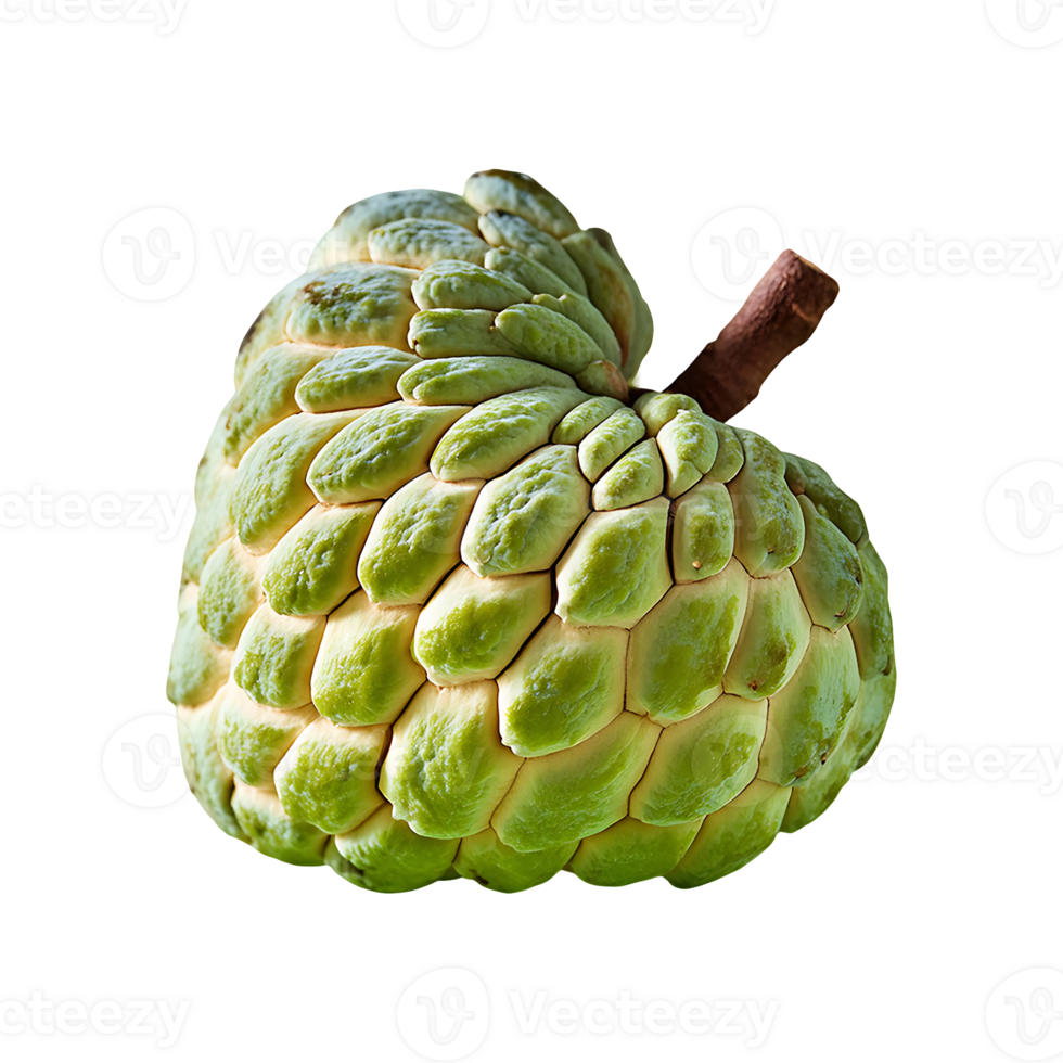 Custard Apple isolated on transparent background png