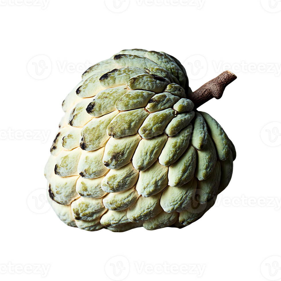 Custard Apple isolated on transparent background png