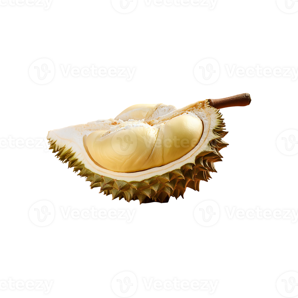 Durian isolated on transparent background png