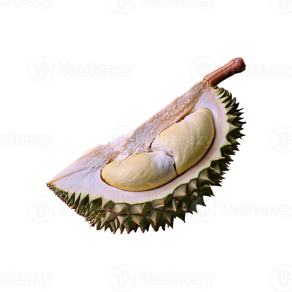 Durian isolated on transparent background png