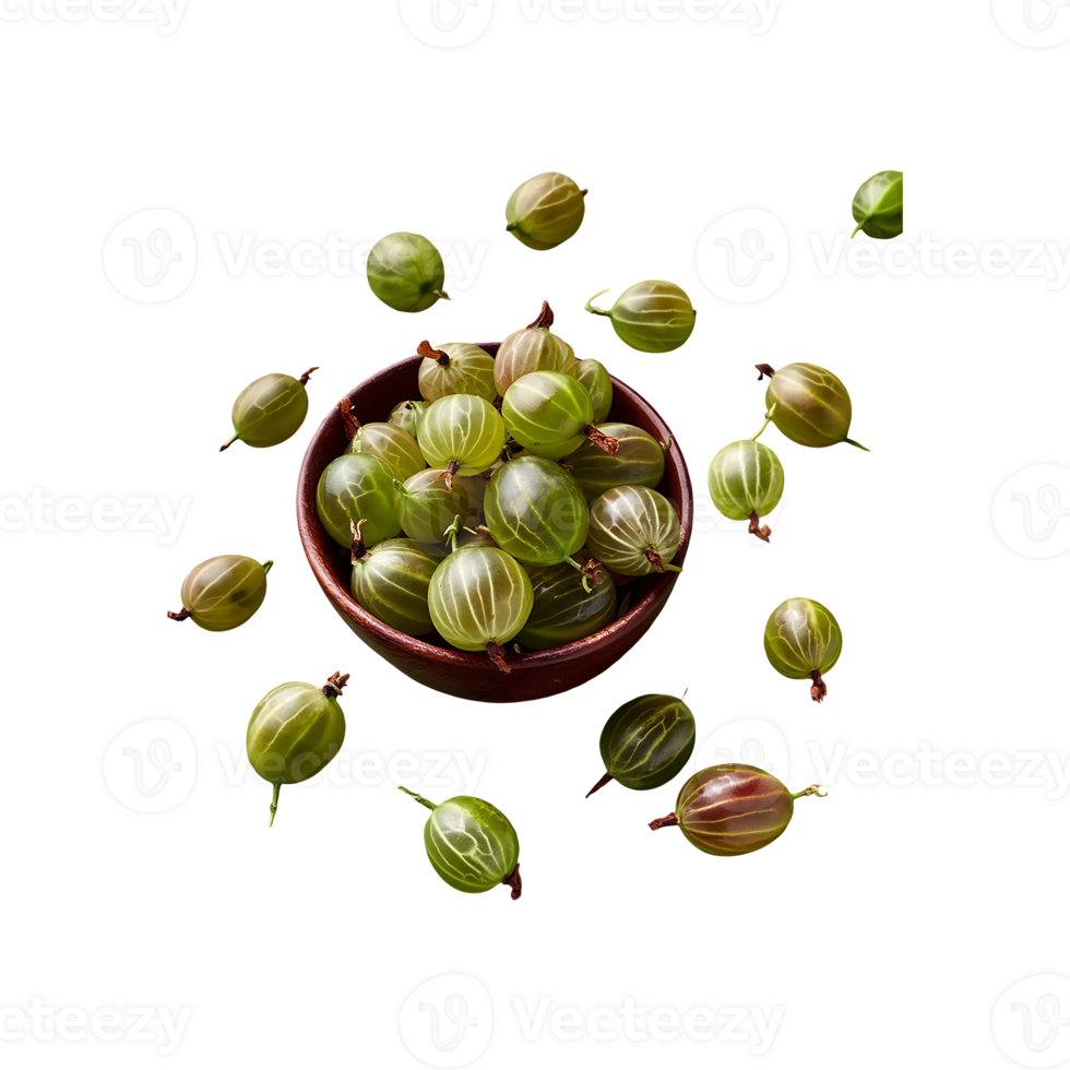 Gooseberry isolated on transparent background png