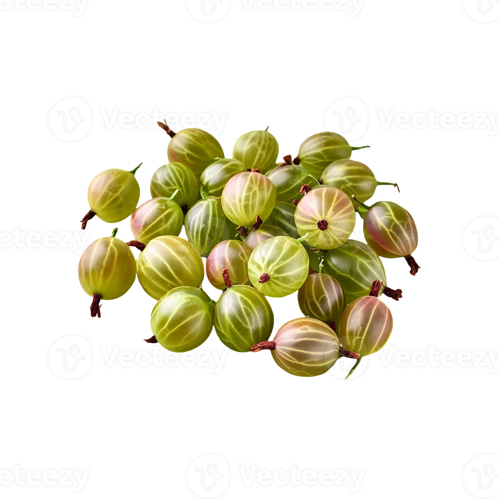 Gooseberry isolated on transparent background png
