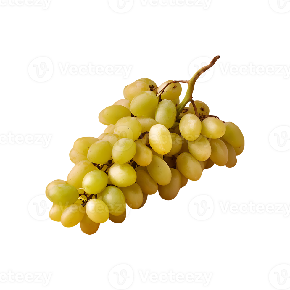 Grape isolated on transparent background png