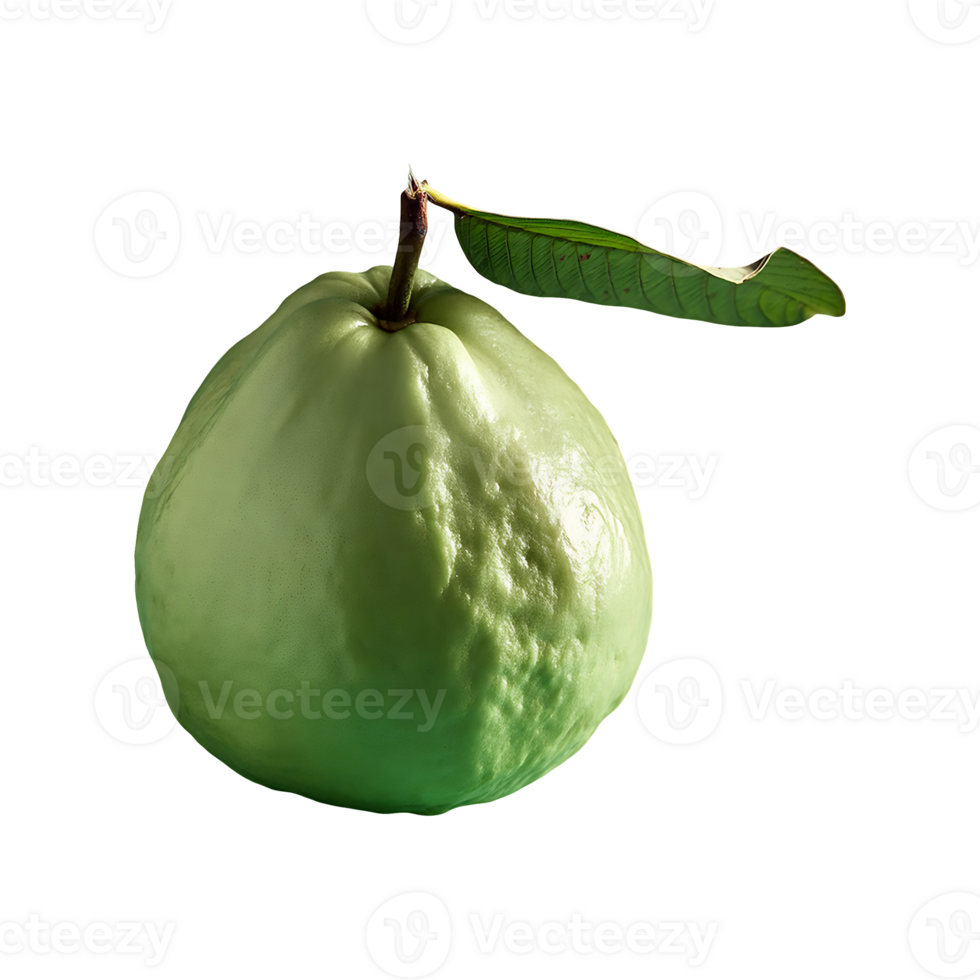 Guava isolated on transparent background png